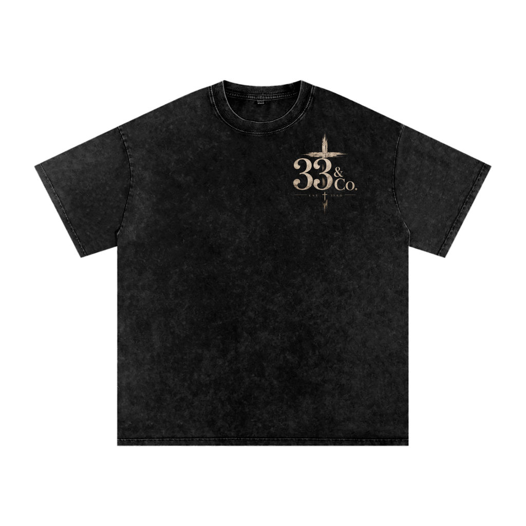 Snow Washed Oversized Cotton T-Shirt Romans 8:31